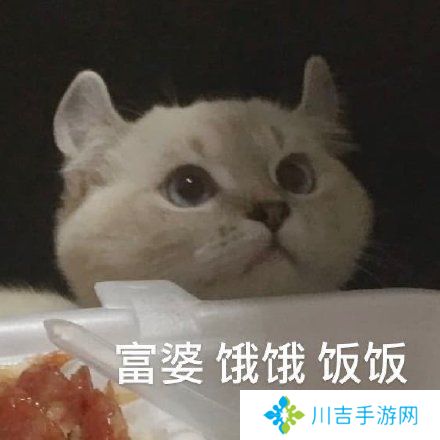 饿饿饭饭最新热门表情包大全分享